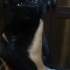 Cana Yakın Müthiş Erkek fotoğraf