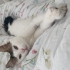 ÇOK ACİL YUVA ACİL fotoğraf