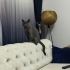 Sevimli oyuncu temas isteyen bir erkek minnoş arıyorsan tam sana göre fotoğraf