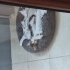 Sokaktan kurtardığım kediye yuva fotoğraf