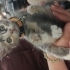 Çok oyuncu minik güneş size gelsin mi. fotoğraf