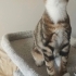 Annesinden Ayırdıklarında Minicikti fotoğraf