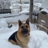 Max Yuva Arıyorrr fotoğraf