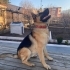 Max Yuva Arıyorrr fotoğraf