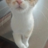 Evimde Büyüdüler Latte Harika Bir Kız fotoğraf