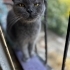 Sevgi dolu bir güzellik fotoğraf
