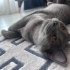 Isabella güzel kızım fotoğraf