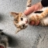 Acil Yuva arıyoruz fotoğraf