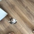 1.5 AYLIK MİNİK TEKİR DİŞİ KEDİ YUVA ARIYOR fotoğraf