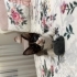 DOĞUŞTAN GÖRME ENGELLİ İZMİR BEBEĞİ AİLE ARIYOR fotoğraf