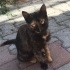 Kızımıza ömürlük yuva arıyoruz fotoğraf