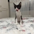 Bebek bir gözü görüyor aile arıyor fotoğraf