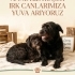 Anne-Kız Birlikte Yuva Arıyor! Bursa fotoğraf