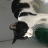 ACİL SMOKİN UYSAL ANNE KIŞIN SOKAĞA GİTMESİN fotoğraf