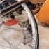 Sevgi dolu minik yavru yuvasını arıyor 🐾 fotoğraf