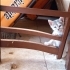 Sevgi dolu, uysal bebek yuvasını arıyor 🤍 fotoğraf