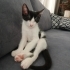 3 aylık aşırı tatlı oyuncu ve hareketli fotoğraf