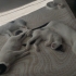 3 aylık ev ortamında büyüyen çok tatlı dişi kedi fotoğraf