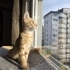 SEVİMLİ OYUNCU YUMURCAK.. fotoğraf