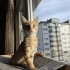 SEVİMLİ OYUNCU YUMURCAK.. fotoğraf