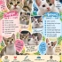 MİNİK YAVRU KEDİLER İÇİN YUVA ARIYORUZ fotoğraf