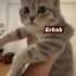 Utangiç minik Tom fotoğraf