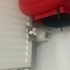 Minik oyuncu yavru kedi fotoğraf