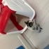 Minik oyuncu yavru kedi fotoğraf