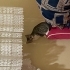 Minnoş ve ürkek fotoğraf