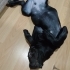 ACİLLL ÜCRETSİZ HECTORA YUVA OL fotoğraf
