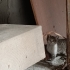 acil yuva. çatıdan kurtarılmayı bekliyor fotoğraf