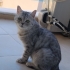 Güzeller güzeli Mia fotoğraf
