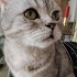 Güzeller güzeli Mia fotoğraf