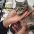 1 AYLIK MİNNAK BEBEK İÇİN YUVA ARIYORUZ fotoğraf
