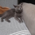 Sokağa atılmış çok tatli fotoğraf
