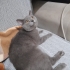 Sokağa atılmış çok tatli fotoğraf