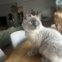 Sevimli yavrumuza yuva arıyoruz fotoğraf