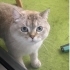 Tamamen ücretsiz acil yuva fotoğraf