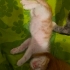 PARKTAN ANNELERİ İLE BİRLİKTE KURTARILAN YAVRU KEDİ fotoğraf