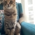 EVE ALIŞIK ACİL ÖMÜRLÜK YUVA fotoğraf