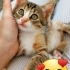 0537 702 6360. Tüm aşıları yapılan oyuncu bebeklere yuva fotoğraf