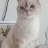 Bu güzel kızımıza yuva arıyoruz acil fotoğraf