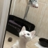 Engelli canlara öncelik fotoğraf
