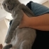 Sakirime Yuva arıyorum Kısır değil 3 yaşında sevecendir ücretsiz dir fotoğraf