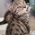 acil yuva arıyoruz fotoğraf