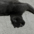 Oyuncu Kedi Gölge fotoğraf