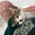 Annesiz 2 bebeğe yuva arıyoruuuz 🫶🏻 fotoğraf