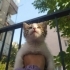 Bu yakışıklıya bakmadan geçmeyin fotoğraf