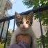 Bu yakışıklıya bakmadan geçmeyin fotoğraf