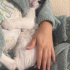 Sırnaşık minnoş fotoğraf